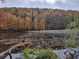 5651228001282402437021035530740995663864n